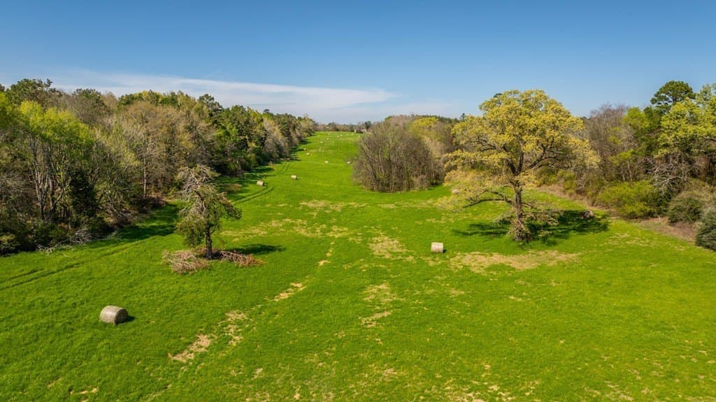 24.12 acres in Texas County - photo 6