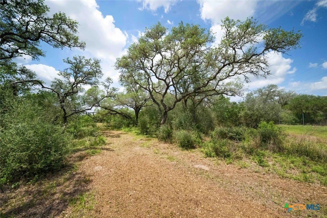 32.7 acres in Goliad County - photo 10