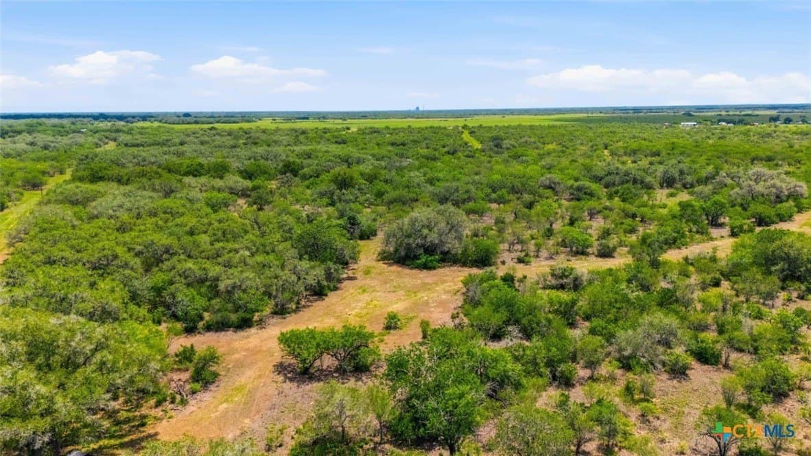 32.7 acres in Goliad County - photo 5