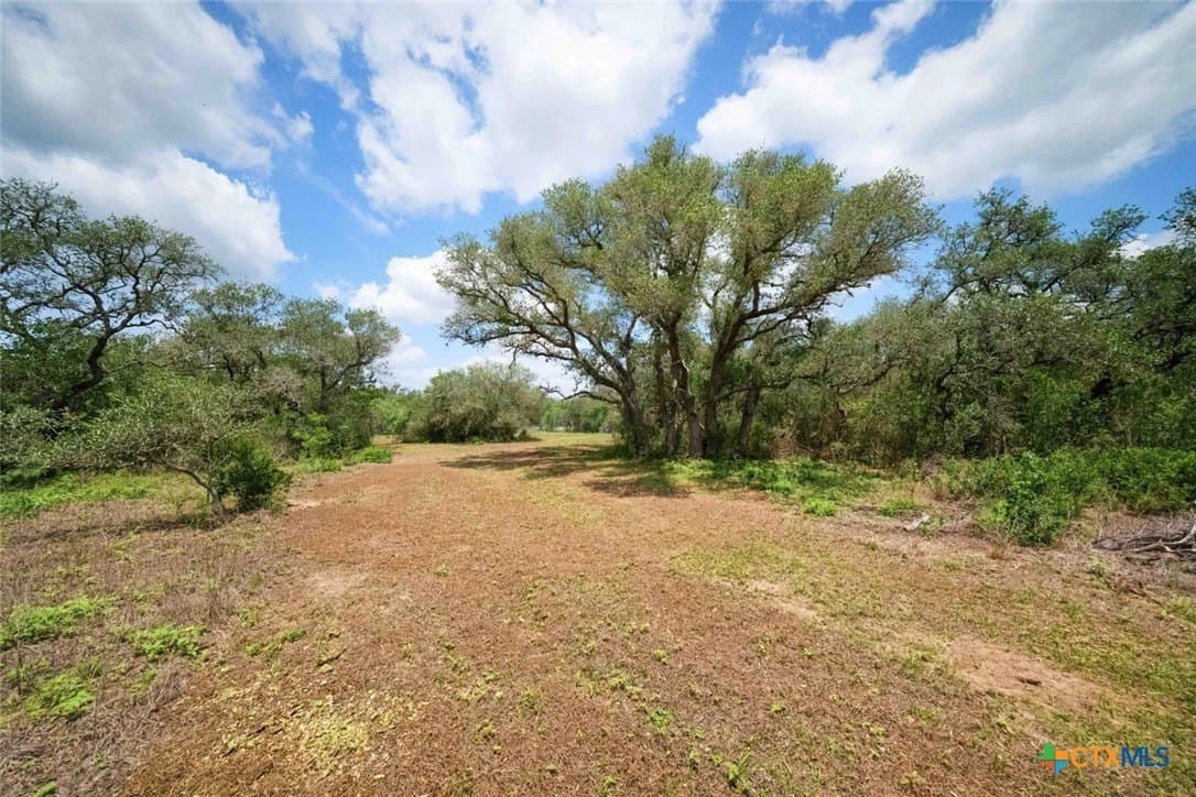 32.7 acres in Goliad County - photo 4
