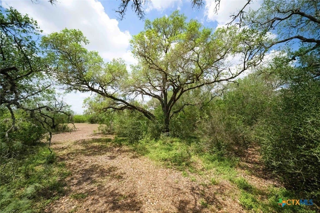 32.7 acres in Goliad County - photo 9