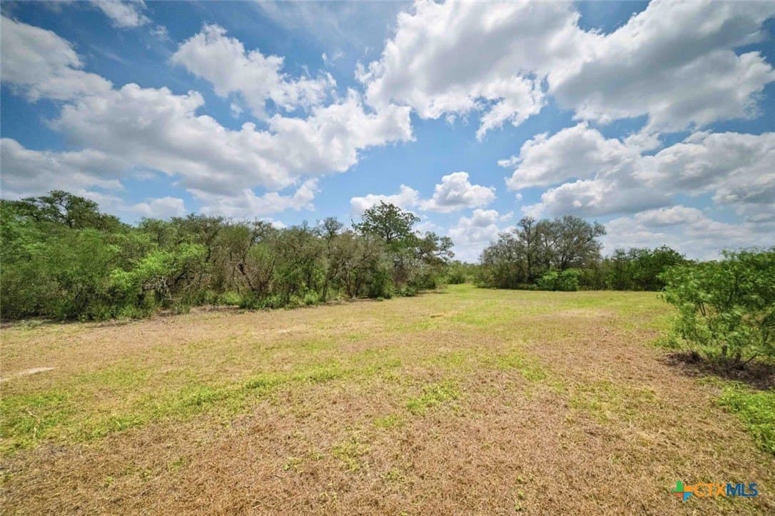 32.7 acres in Goliad County - photo 8