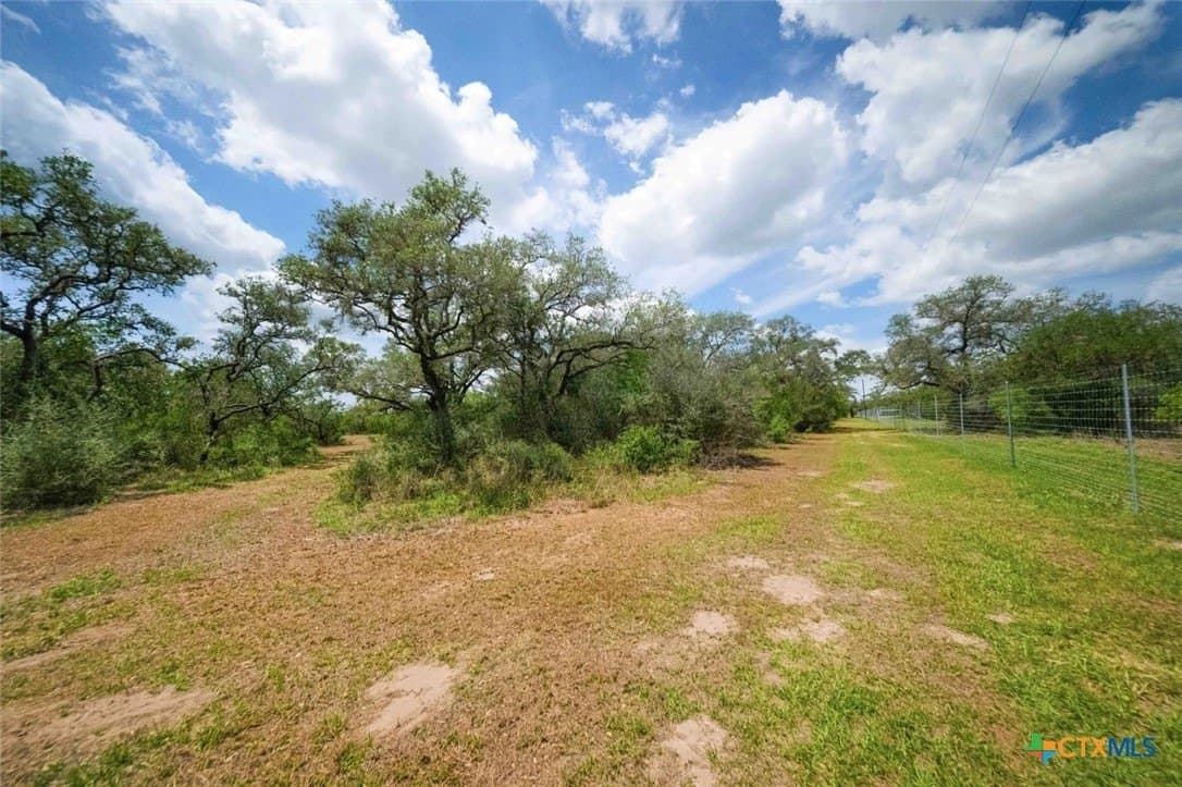 32.7 acres in Goliad County - photo 11