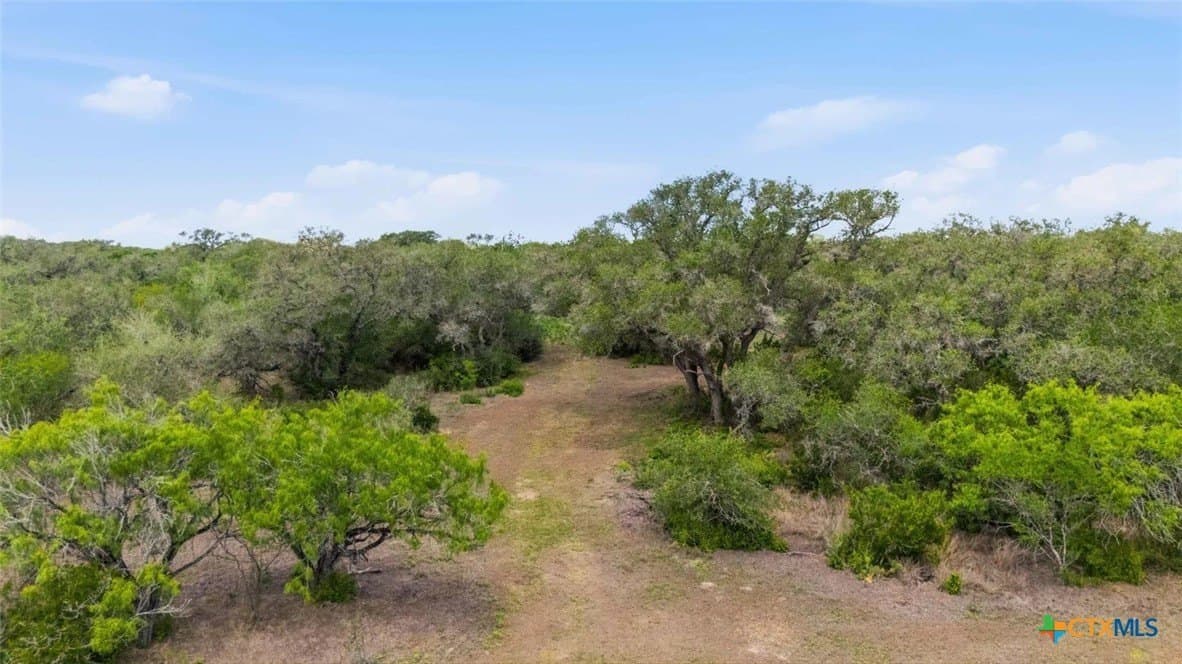 32.7 acres in Goliad County - photo 6
