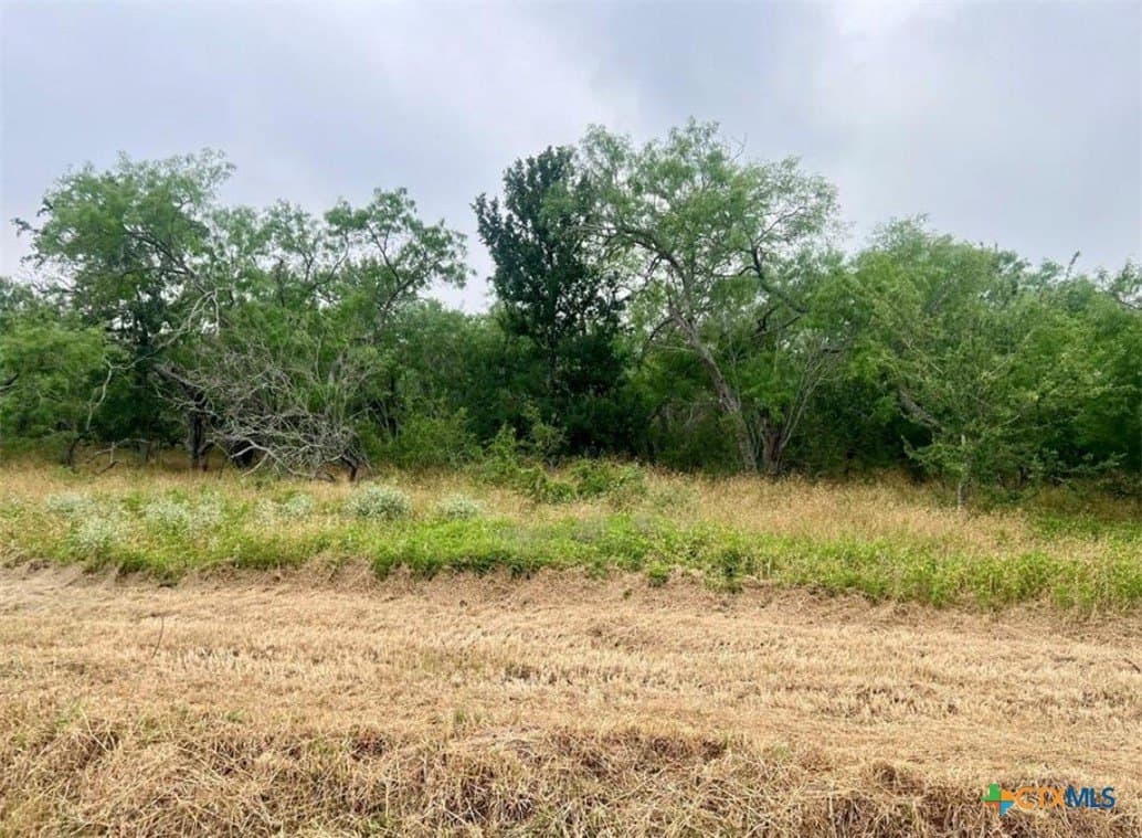 1 acres in Gonzales County
