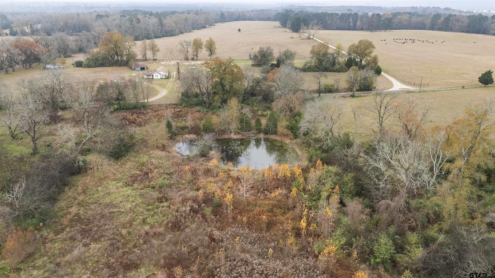 92.23 acres in Cherokee County gallery image 2