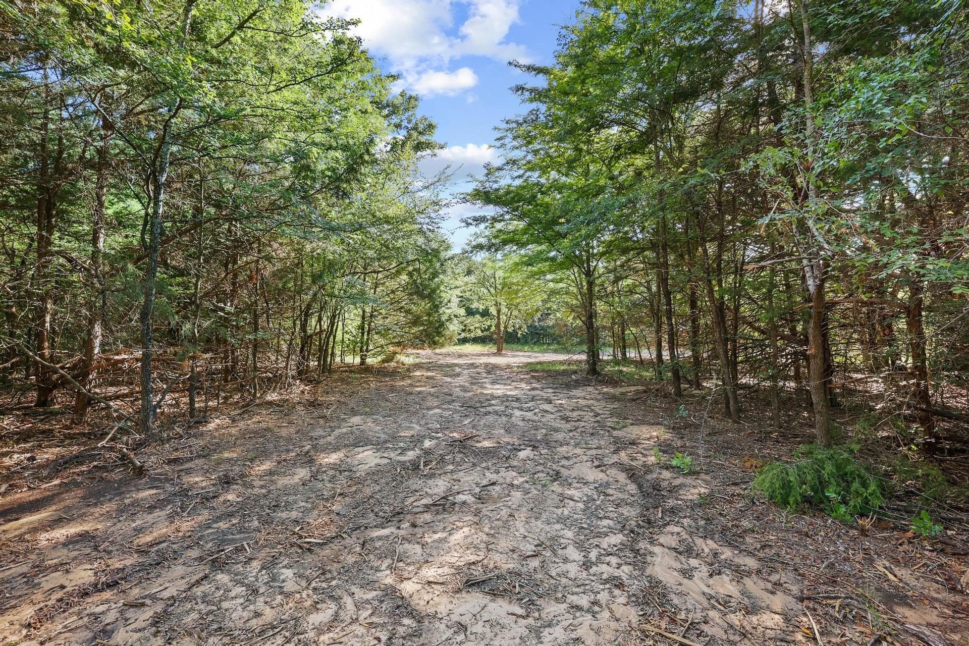 15.46 acres in Cooke County - photo 9