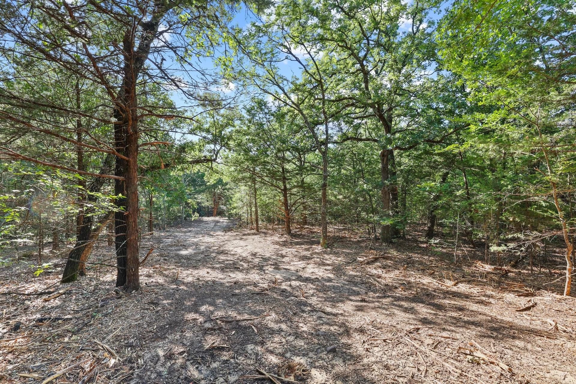 15.46 acres in Cooke County - photo 6