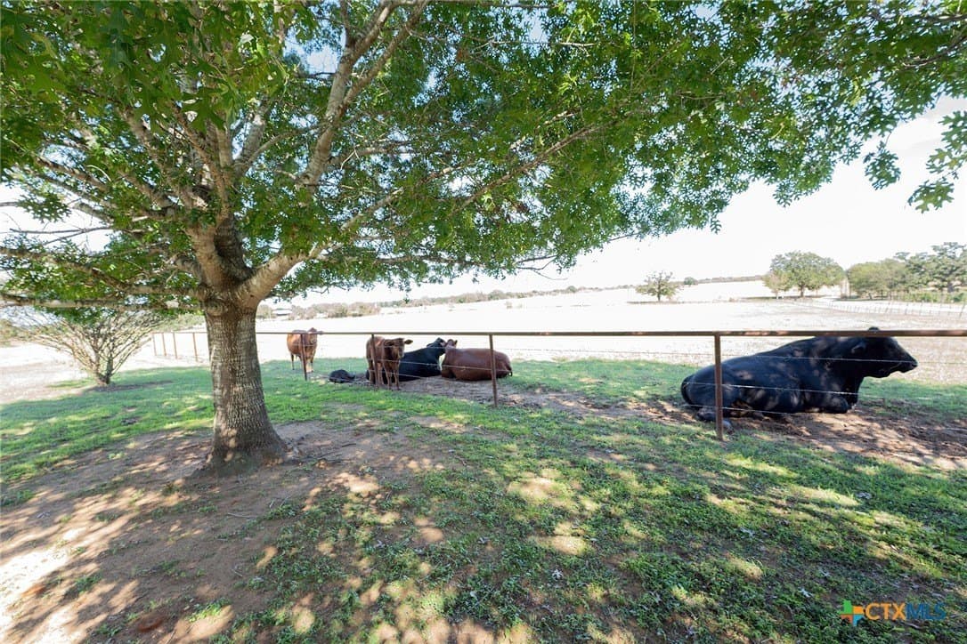 19.88 acres in Caldwell County - photo 8