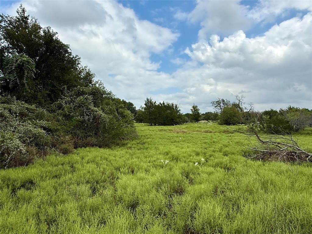 10.01 acres in Hamilton County gallery image 3