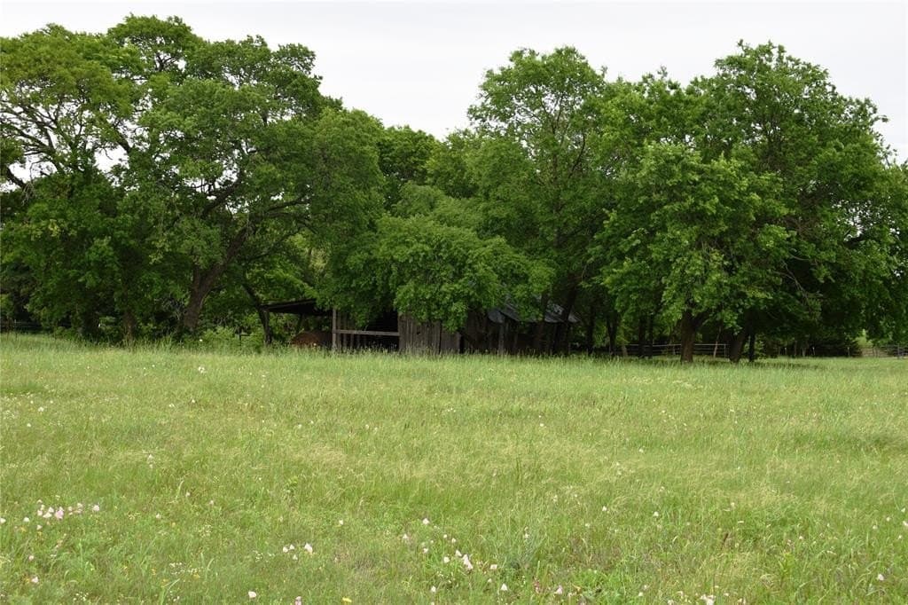 2.02 acres in Collin County gallery image 4