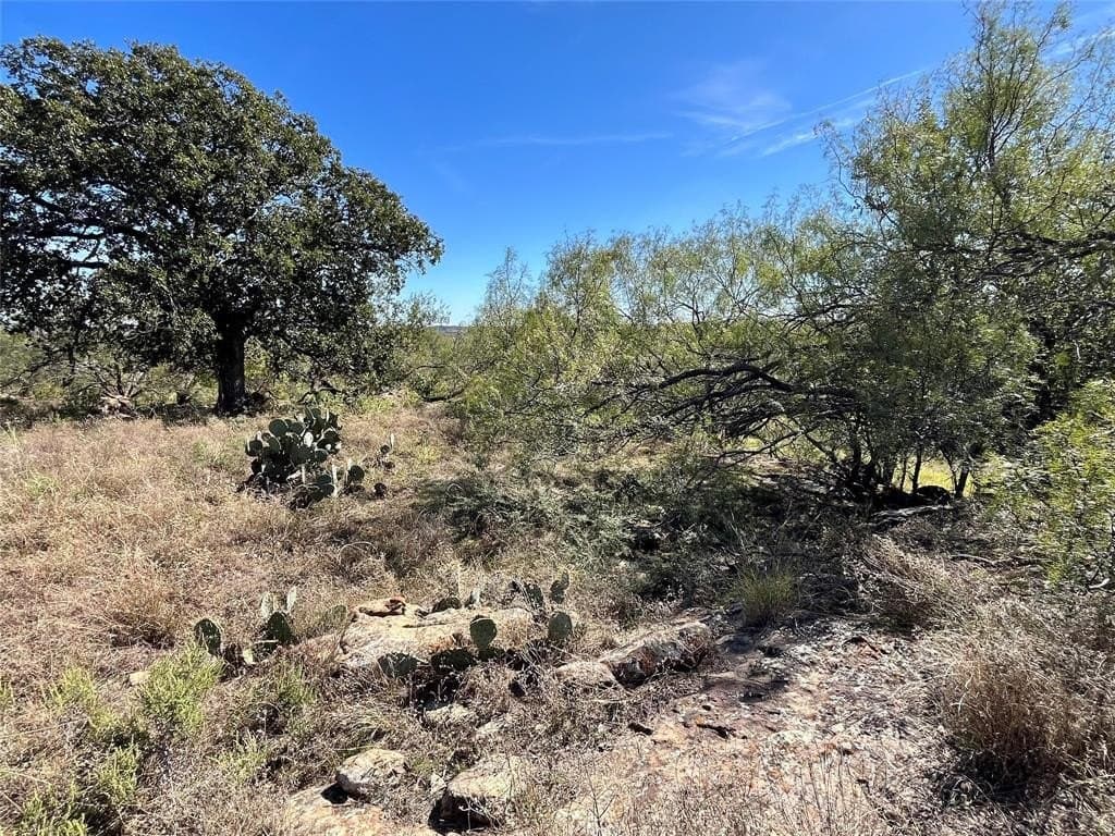 160 acres in Jack County gallery image 4