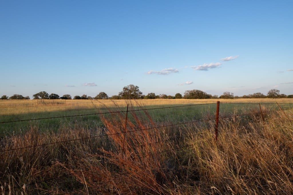 120 acres in Mason County featured view