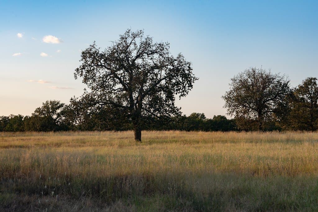 120 acres in Mason County - photo 11
