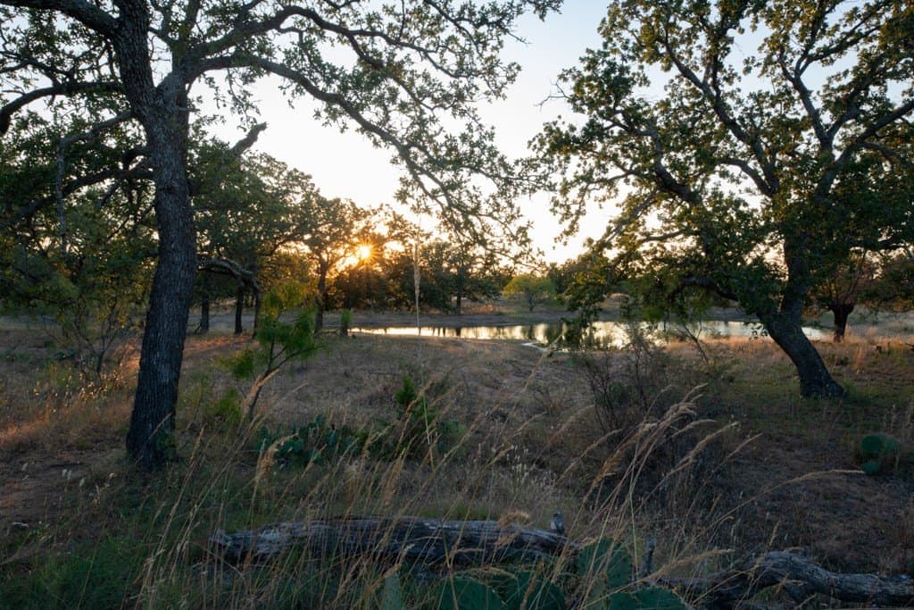 120 acres in Mason County - photo 6