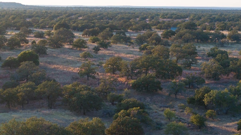 120 acres in Mason County - photo 18