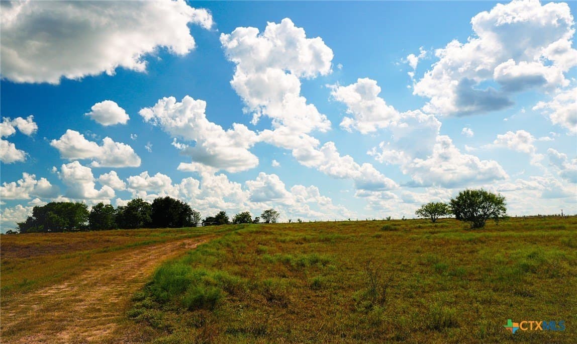 39.14 acres in Fayette County gallery image 4