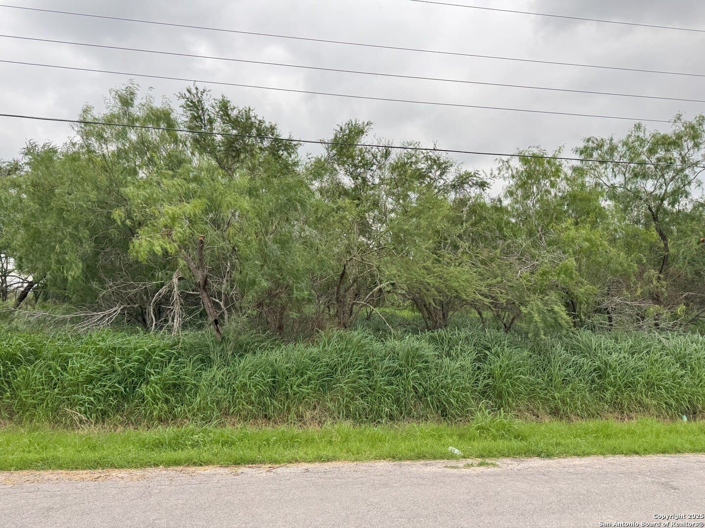 0.32 acres in Hidalgo County gallery image 4