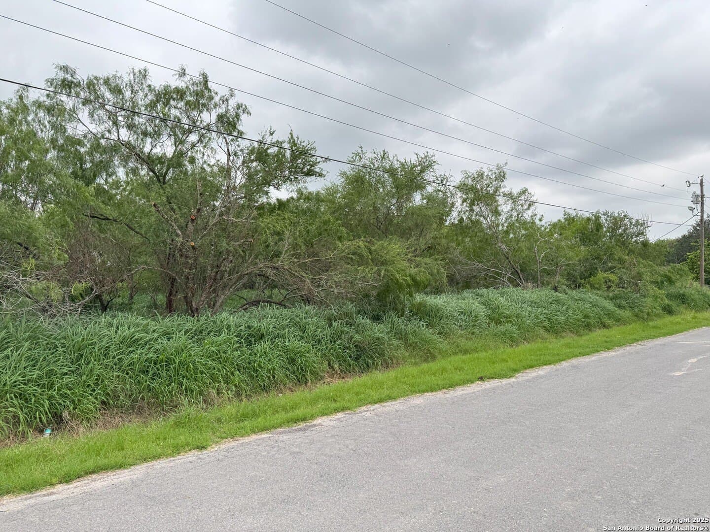 0.32 acres in Hidalgo County gallery image 2