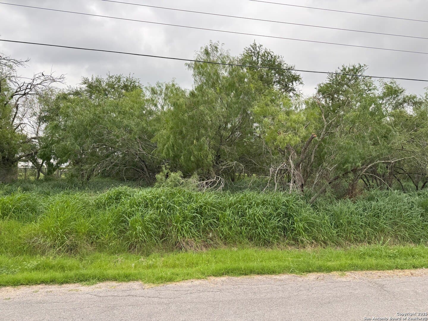 0.32 acres in Hidalgo County featured view