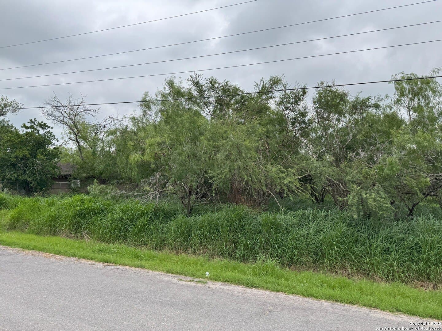 0.32 acres in Hidalgo County gallery image 3