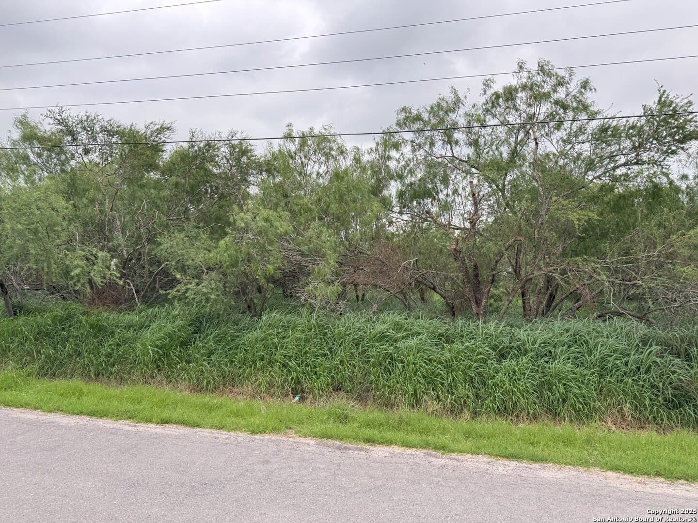 0.32 acres in Hidalgo County