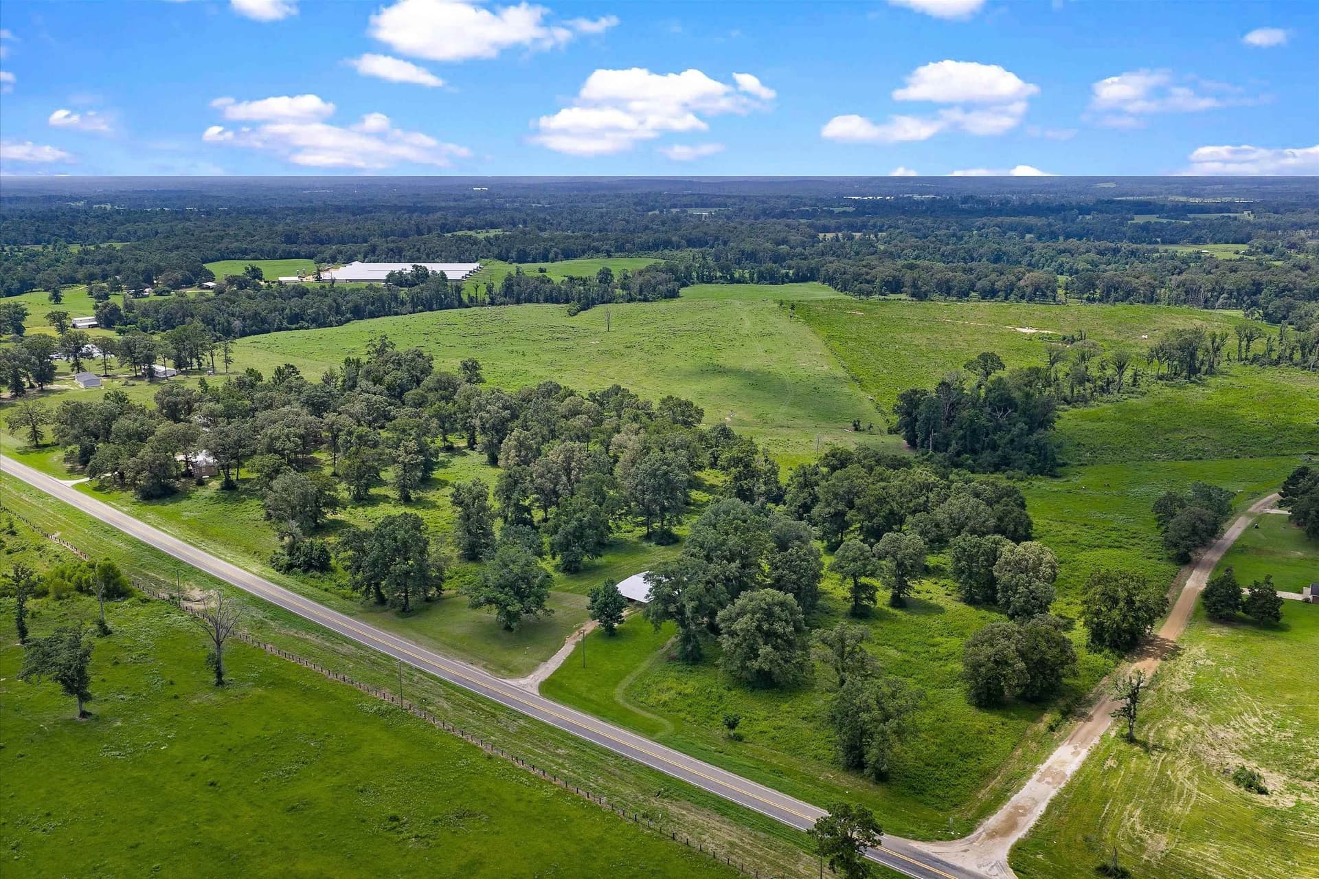 10 acres in Shelby County gallery image 4