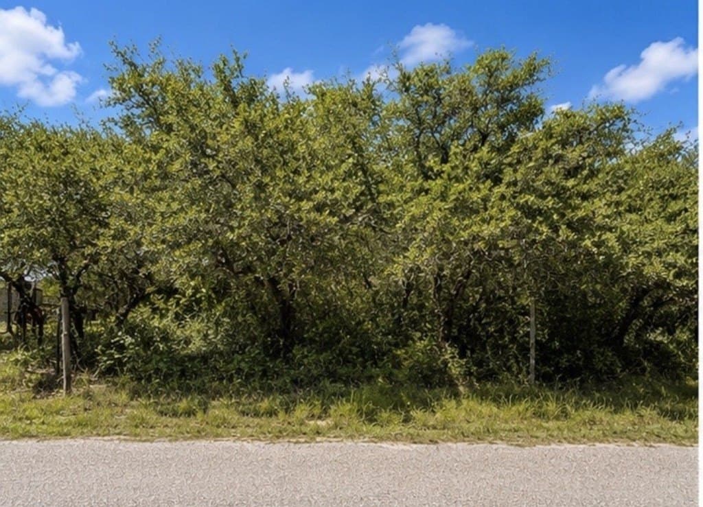 1.01 acres in Texas County gallery image 4