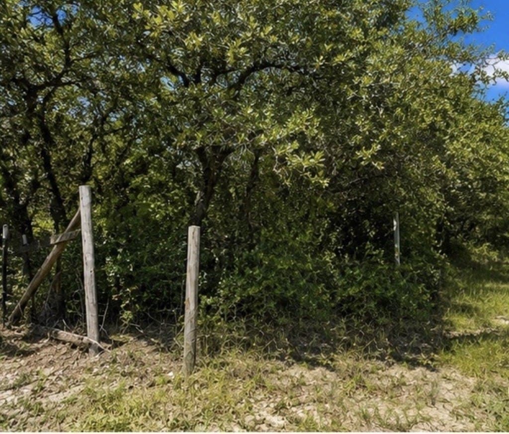 1.01 acres in Texas County gallery image 3