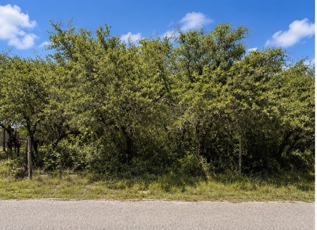 1.01 acres in Texas County featured view