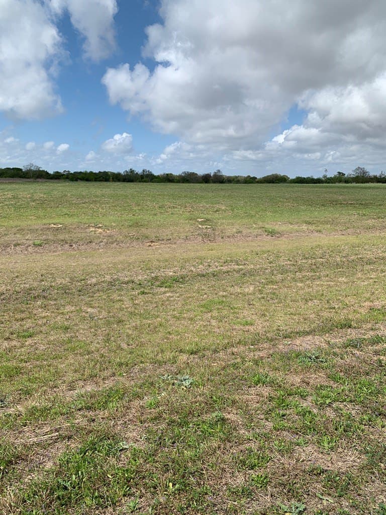 2 acres in Palacios Area County gallery image 2