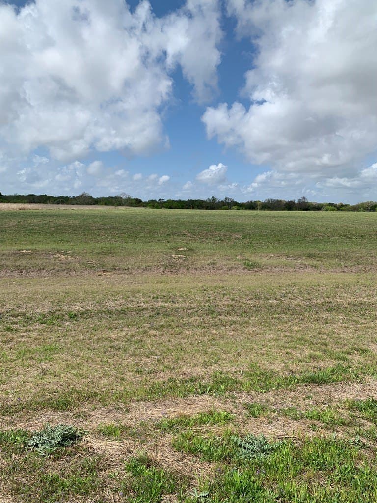 2 acres in Palacios Area County gallery image 3