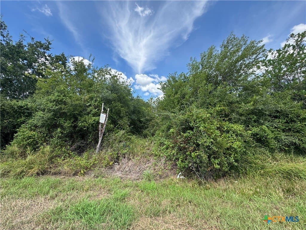 0.23 acres in Victoria County gallery image 3