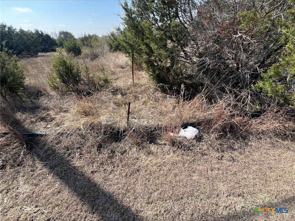 14.62 acres in Bell County - photo 8