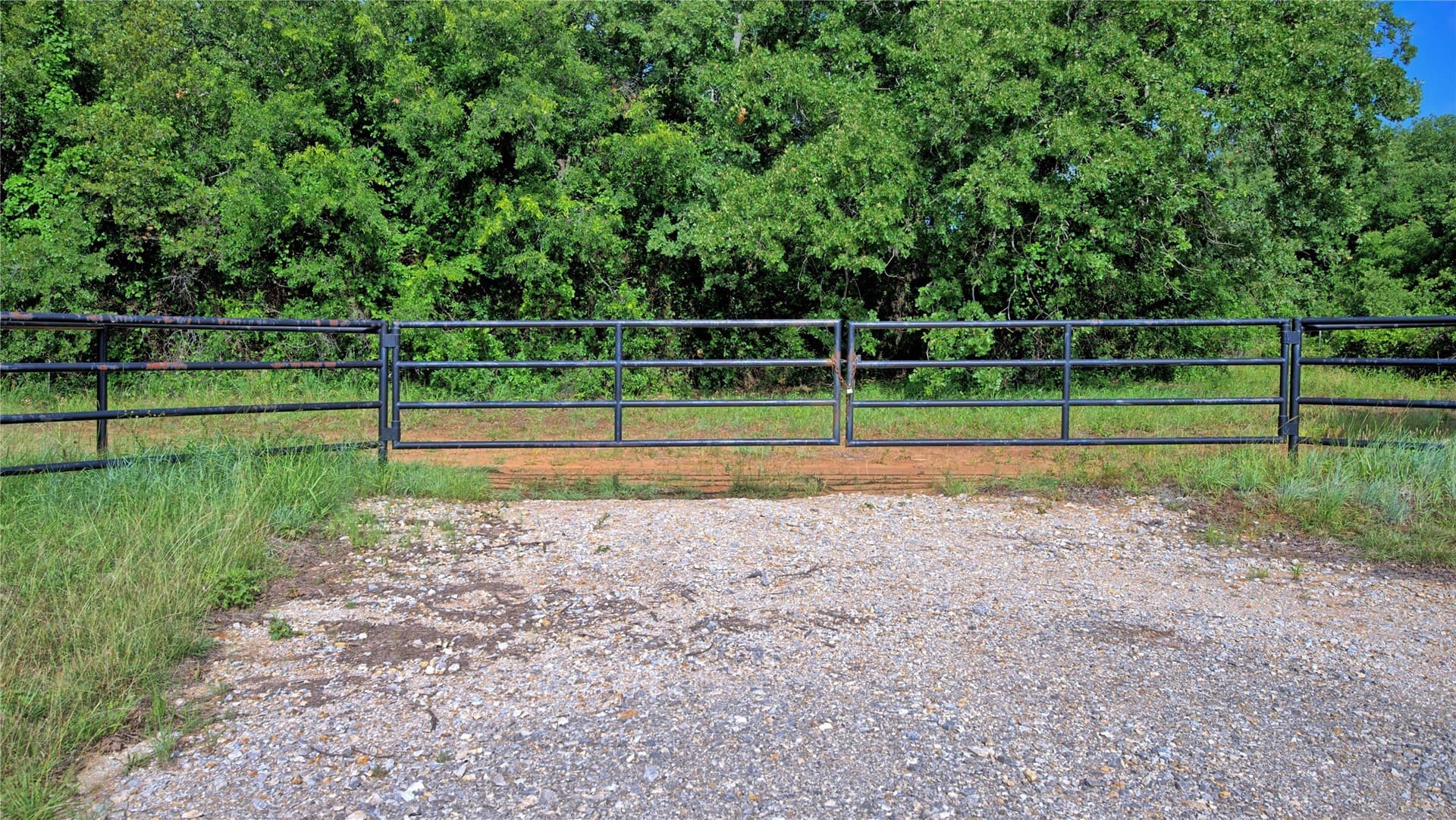 25.02 acres in Clay County gallery image 2