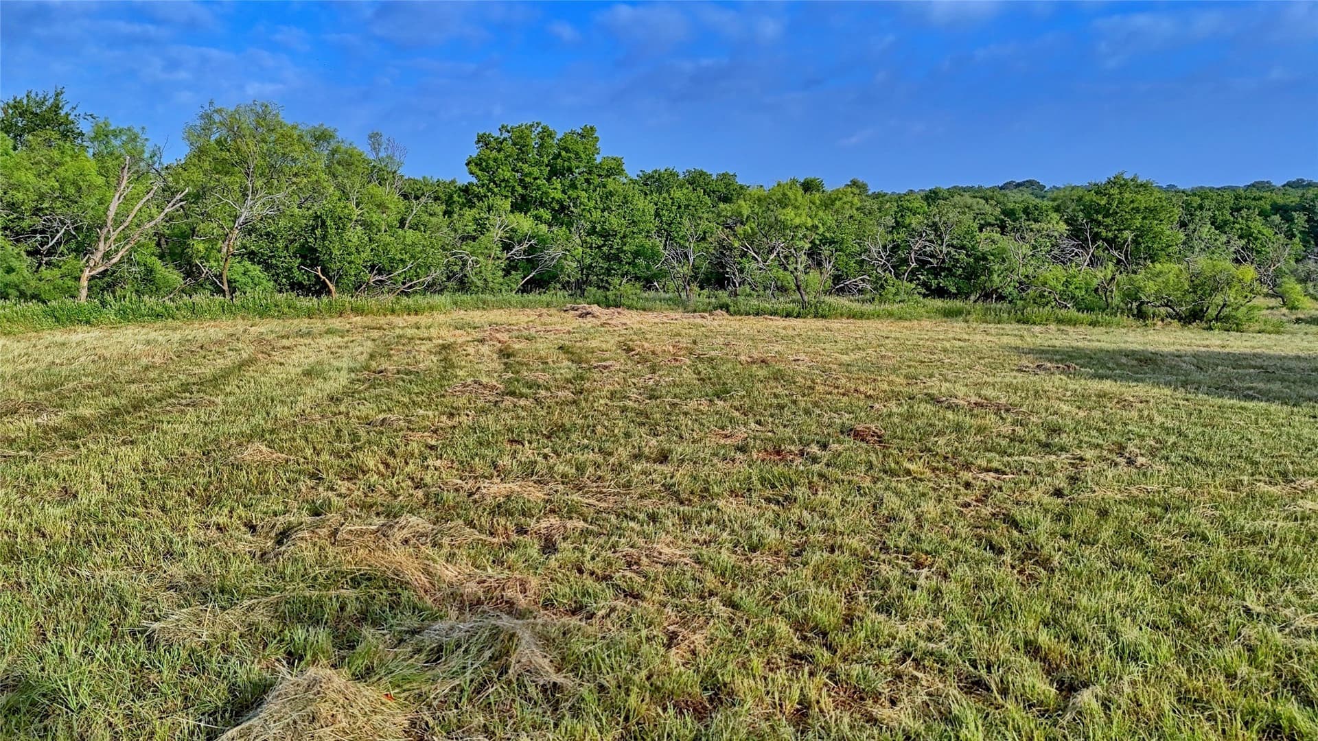 25.02 acres in Clay County gallery image 3