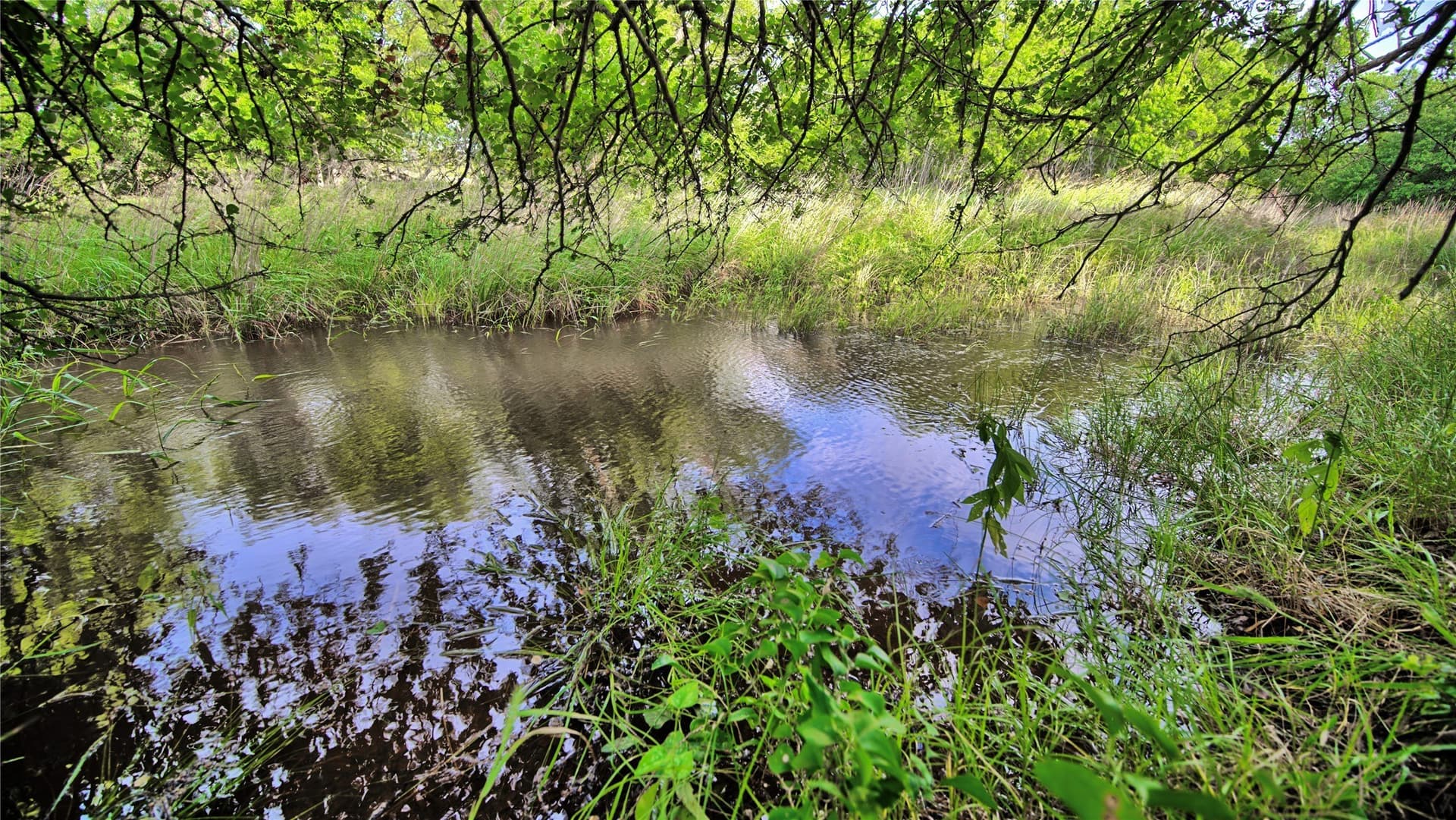 25.02 acres in Clay County featured view
