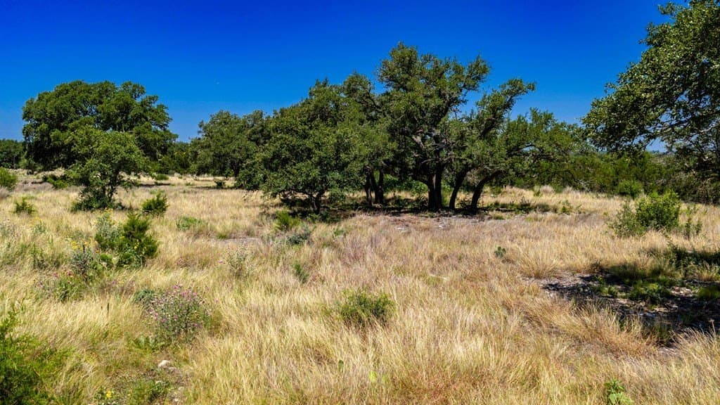 3.69 acres in Gillespie County gallery image 4