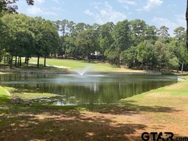 0.49 acres in Wood County - photo 14