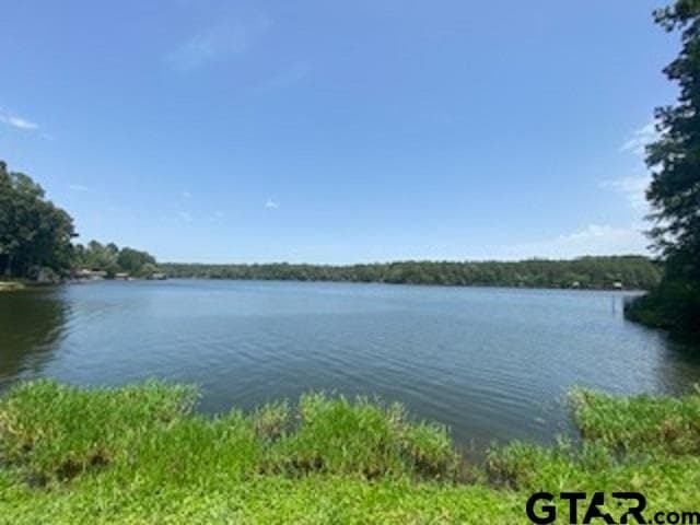 0.49 acres in Wood County - photo 16