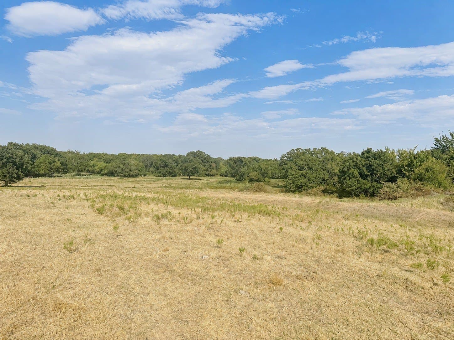 35.06 acres in Montague County - photo 4
