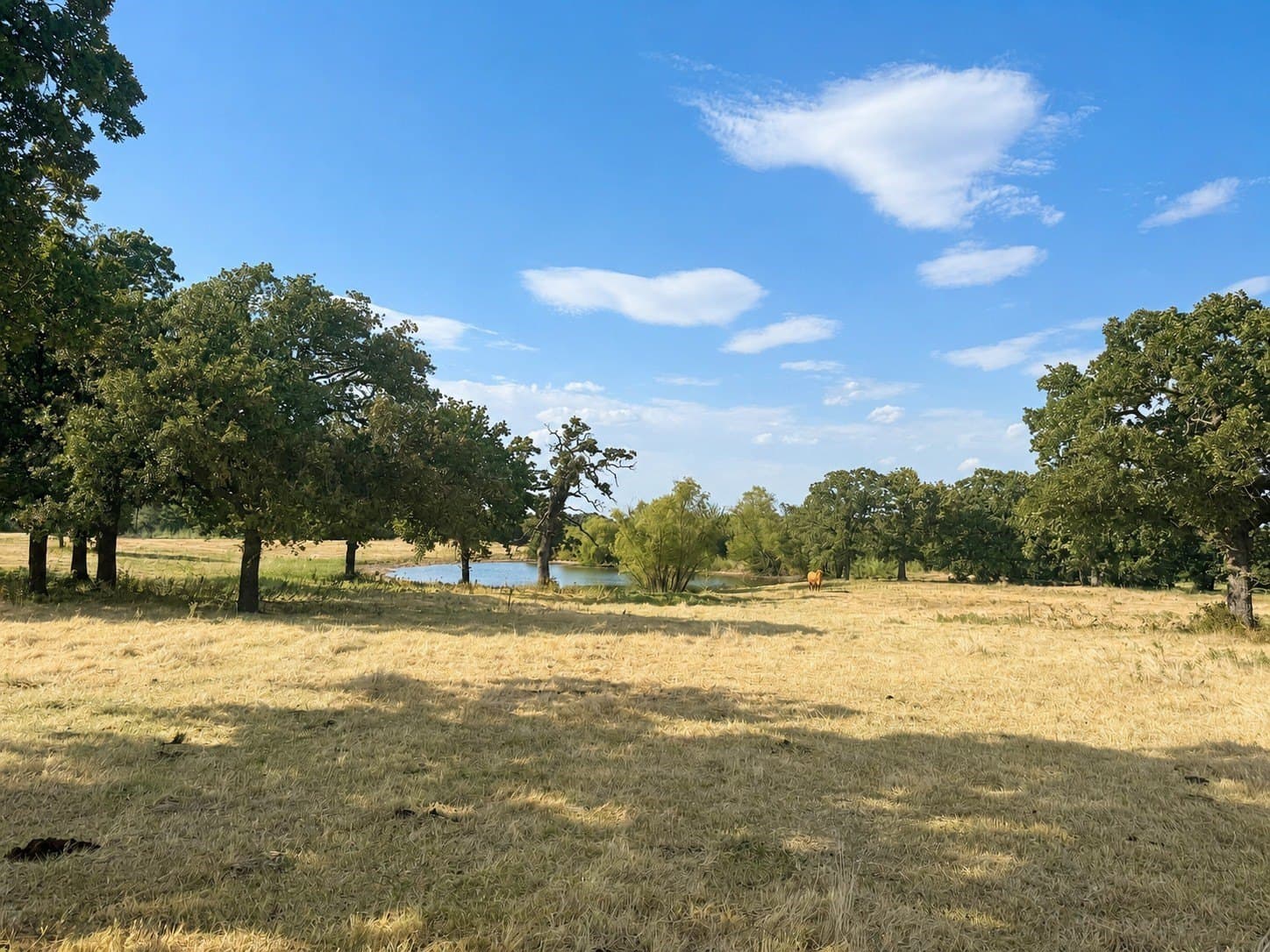 35.06 acres in Montague County - photo 6