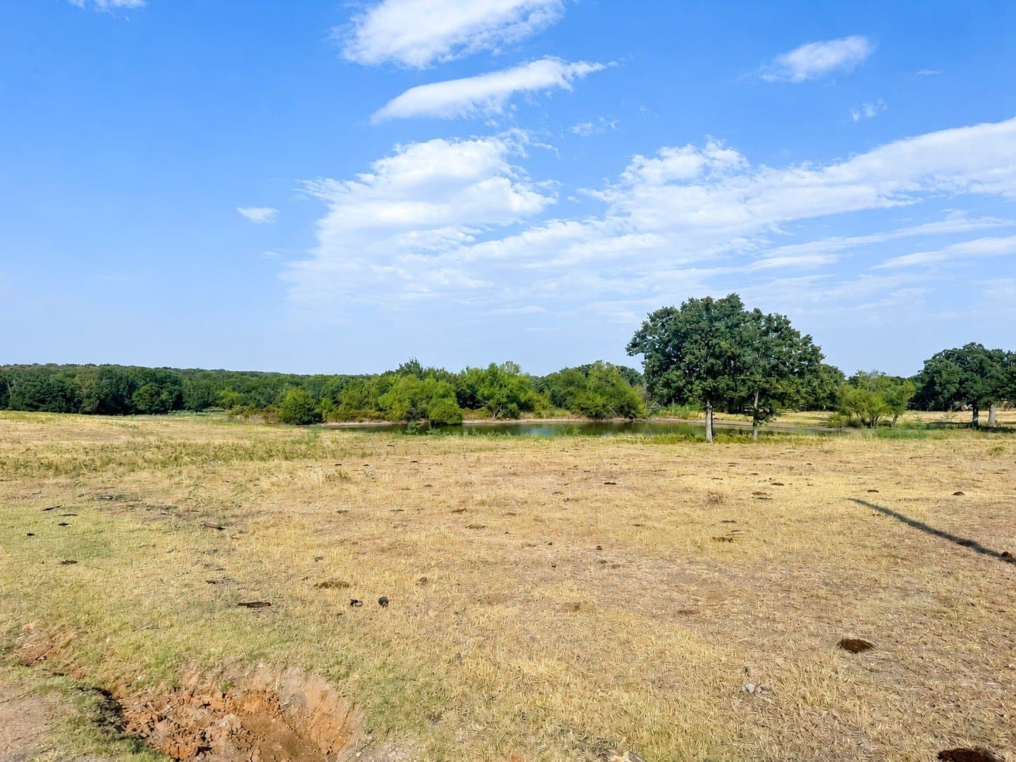 35.06 acres in Montague County - photo 7