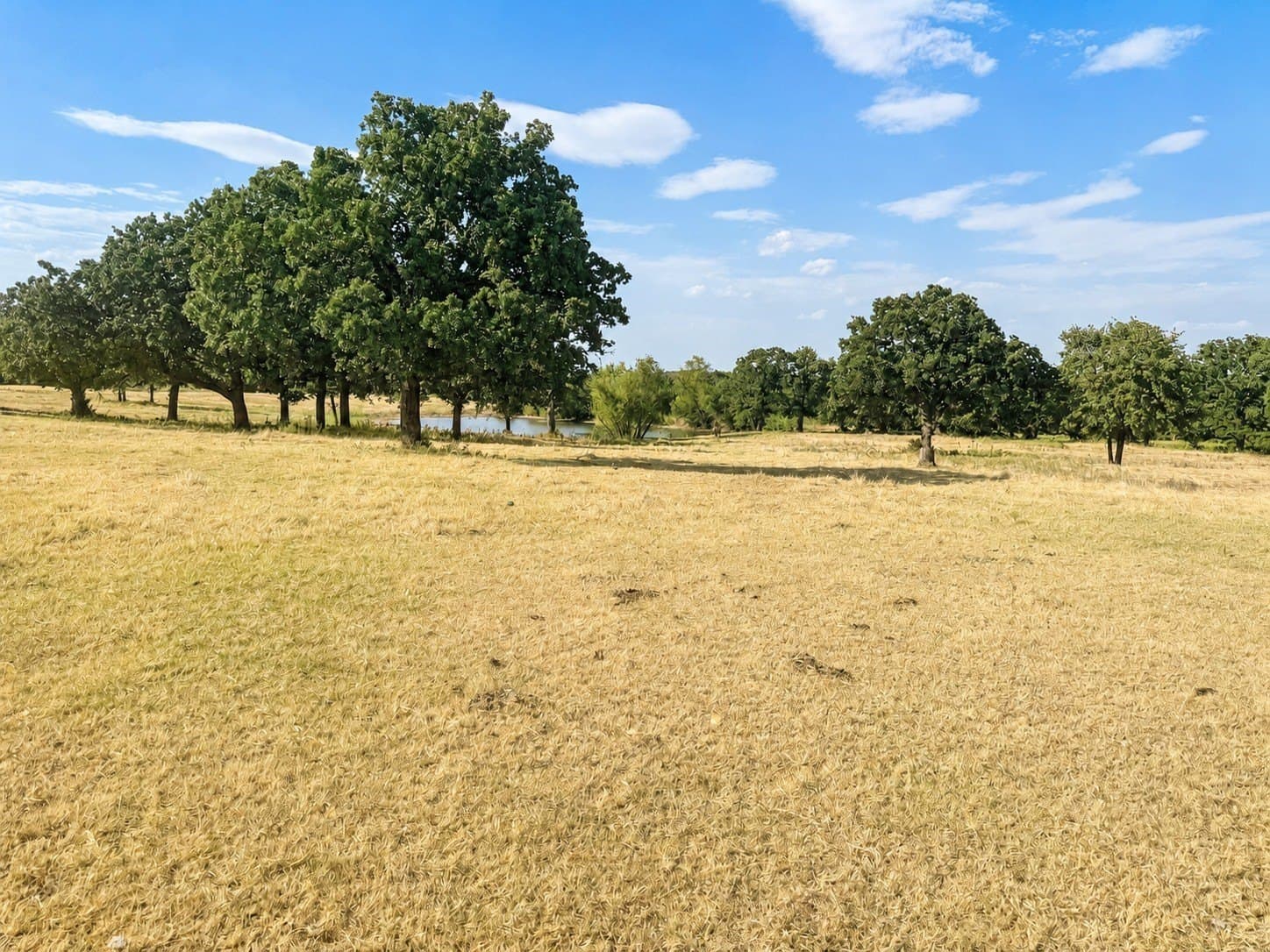 35.06 acres in Montague County - photo 3