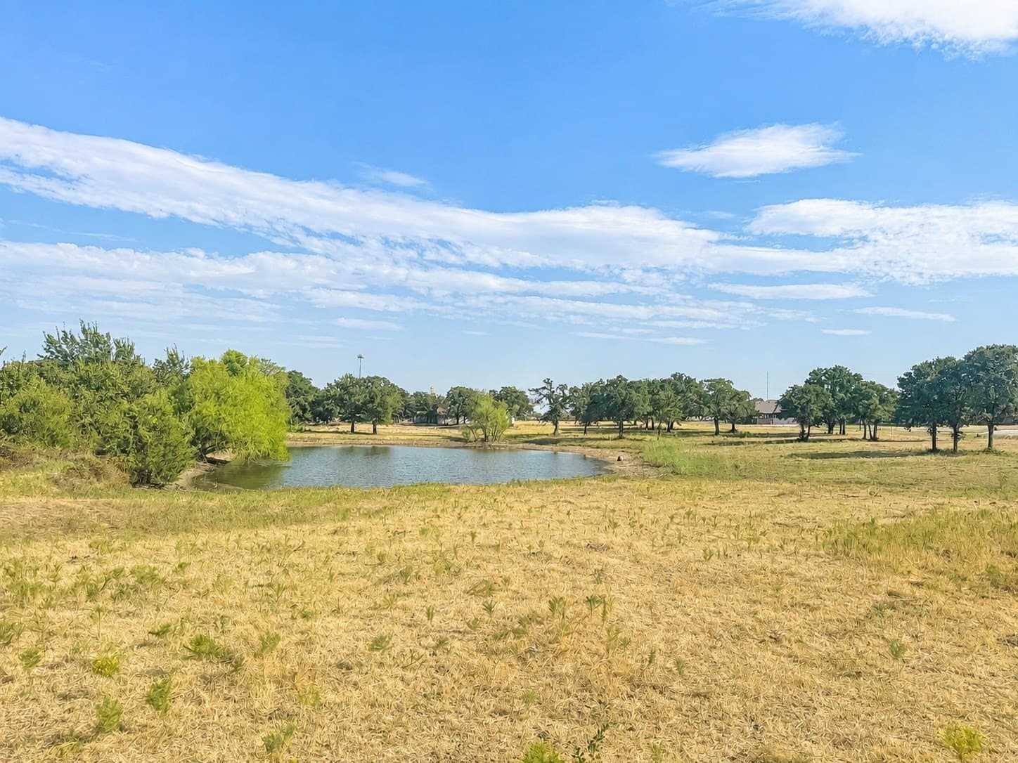 35.06 acres in Montague County - photo 5