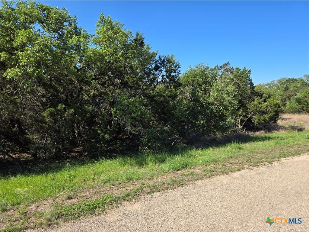 3.25 acres in Hays County - photo 8