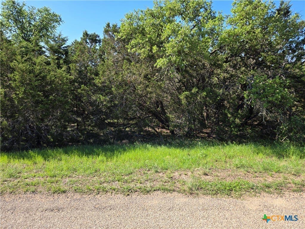 3.25 acres in Hays County gallery image 2