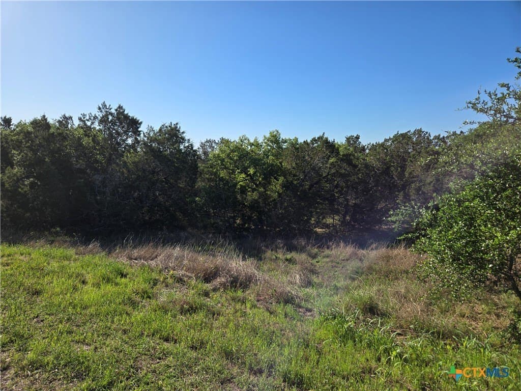 3.25 acres in Hays County - photo 13