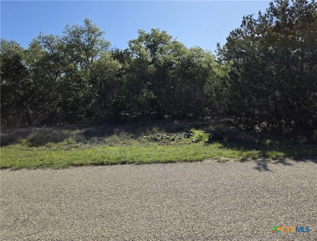 3.25 acres in Hays County - photo 14