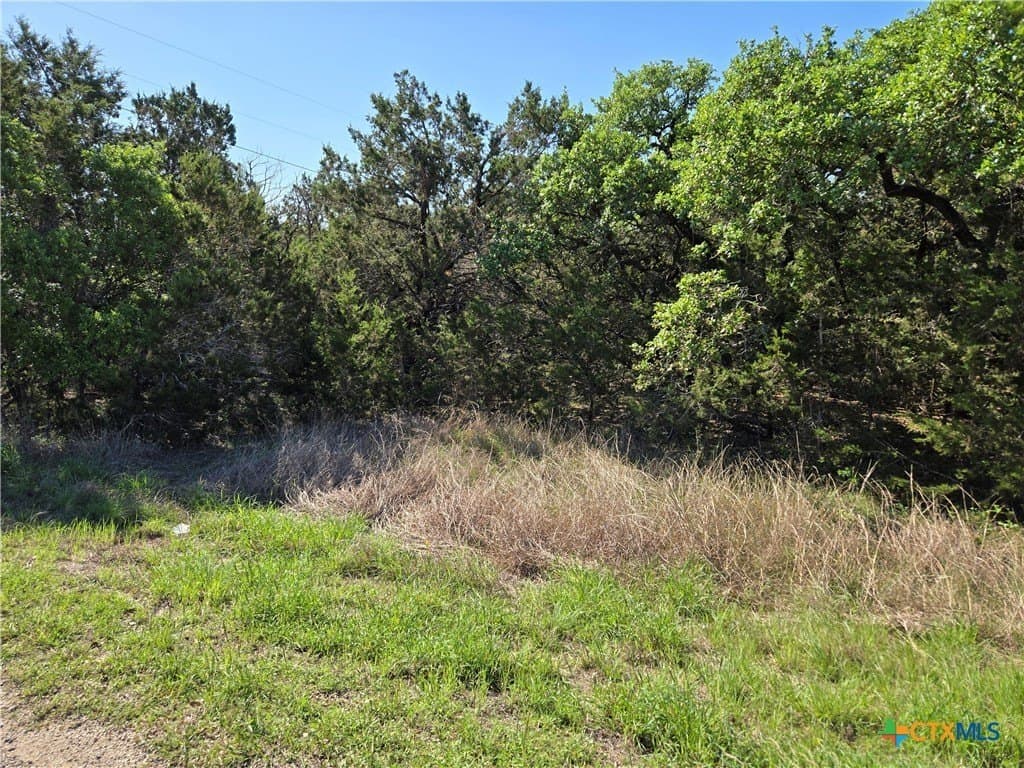 3.25 acres in Hays County - photo 9